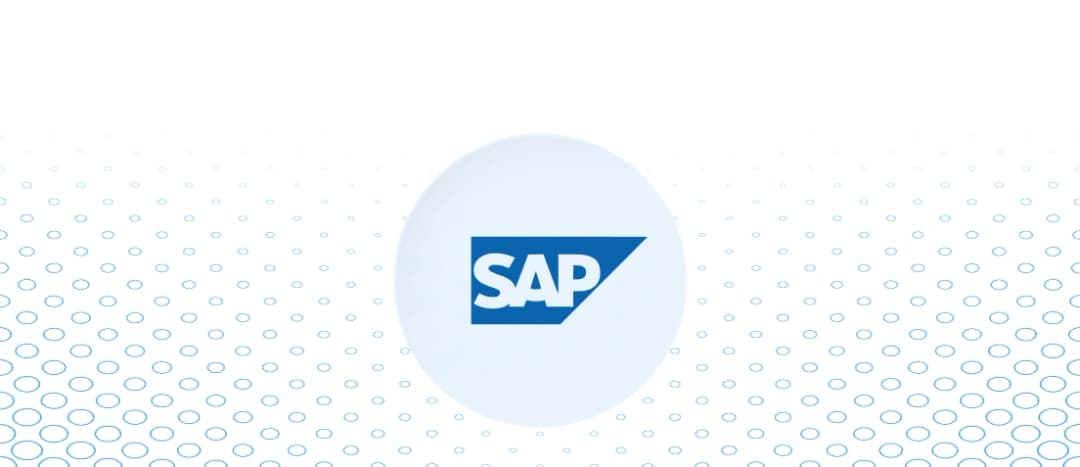 Rapid Deployment & BTP Applications for SAP