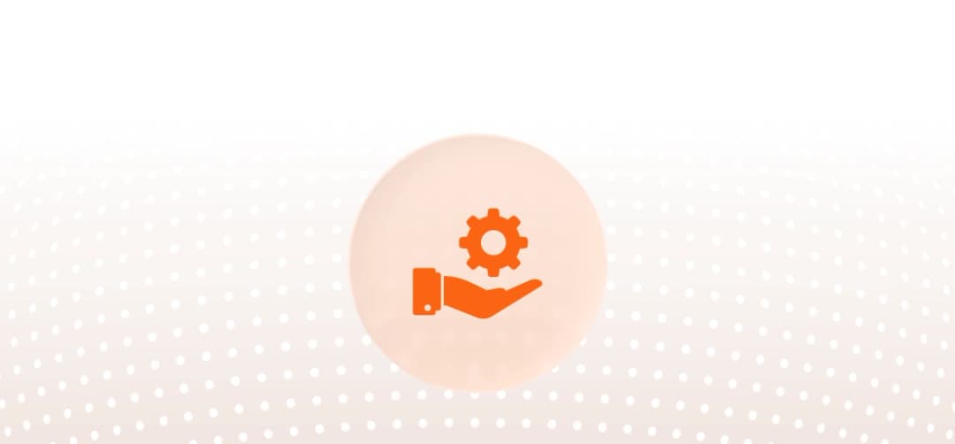 Application Management Services (AMS)